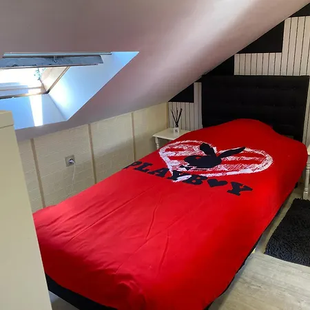 Spacious In 100 M² With Parking 5 Ppl Διαμέρισμα Σαρλρουά